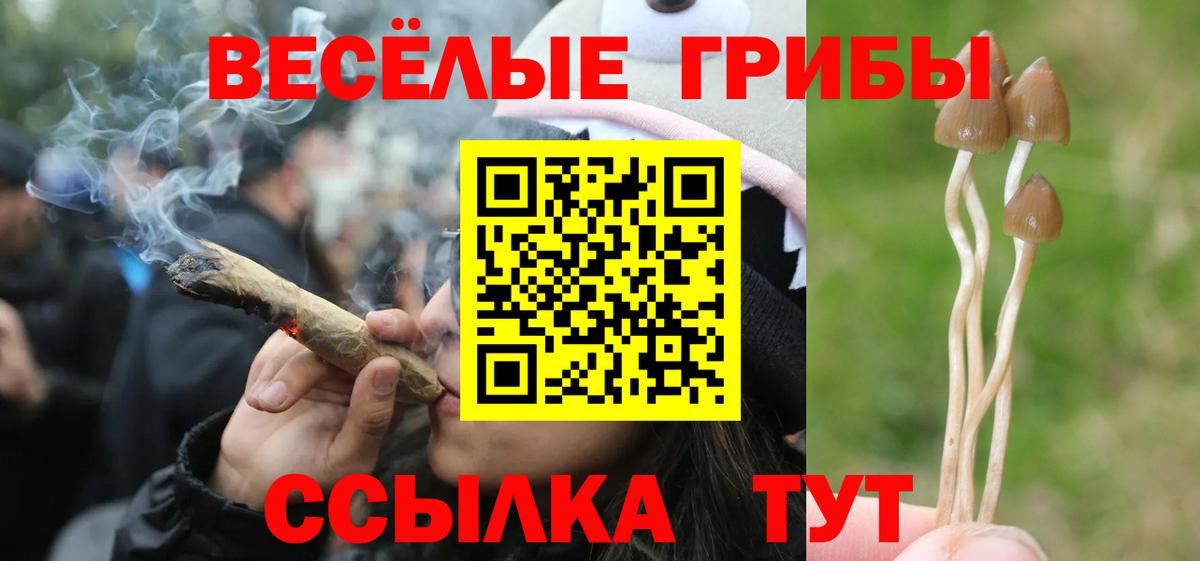 Галлюциногенные грибы Cubensis  Вход с VPN  Ижевск 
